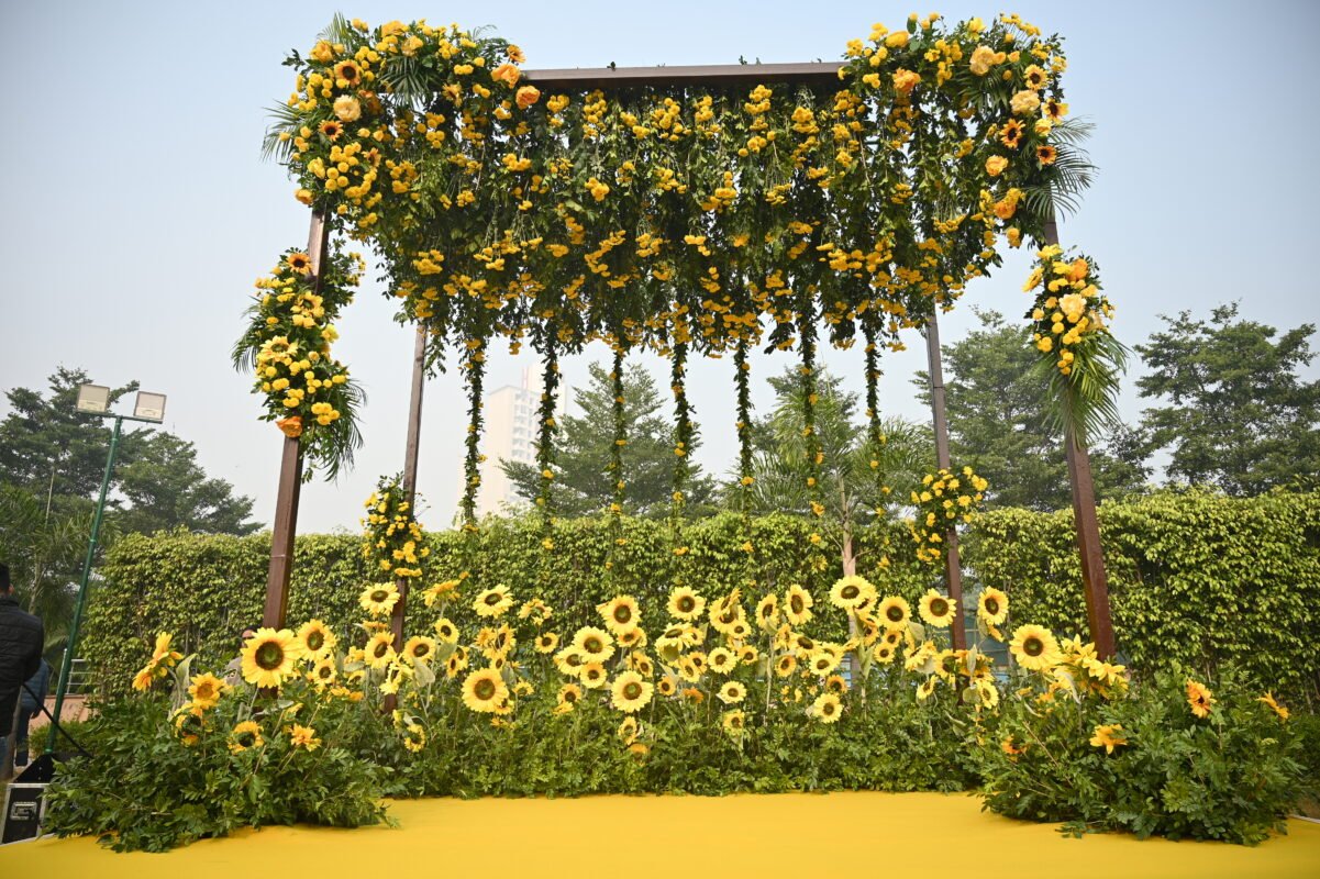 Haldi / Mehendi setup Decor Image