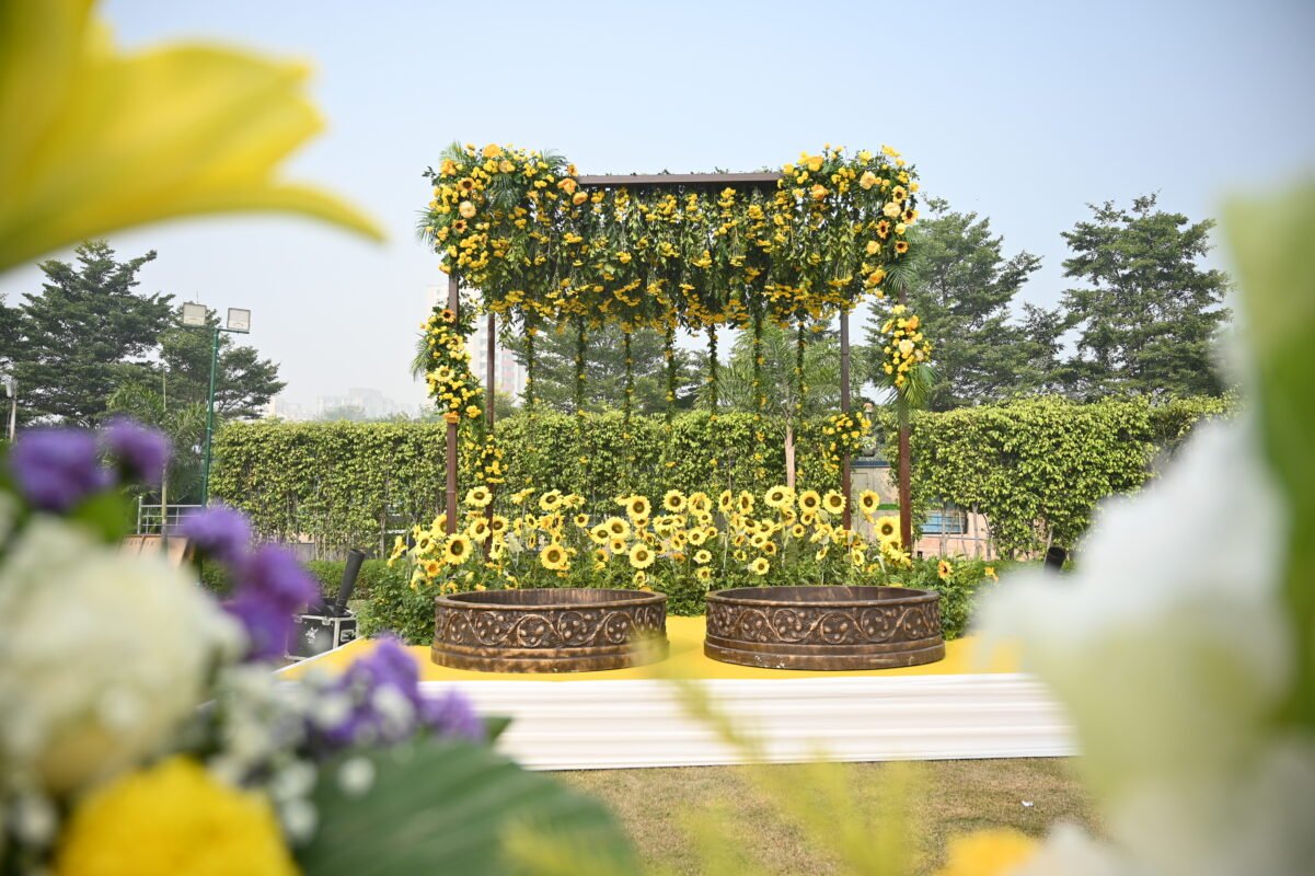 Haldi / Mehendi setup Decor Image